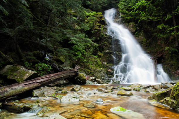 istock Sawblade Falls, Coquitlam, BC, Canada 1249475562