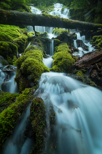 Oregon - US State, Waterfall, Fog, River, Spring - Flowing Water