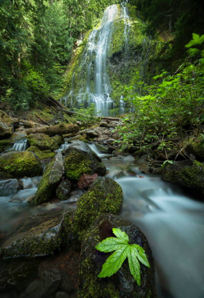 istock Beautiful Proxy falls in mist, Oregon 1249479383