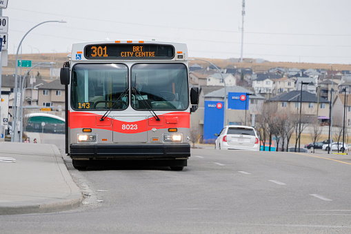 April 25 2020 - Calgary, Alberta Canada - Calgary transit bus waiting at a bus stop for passengers to pick up