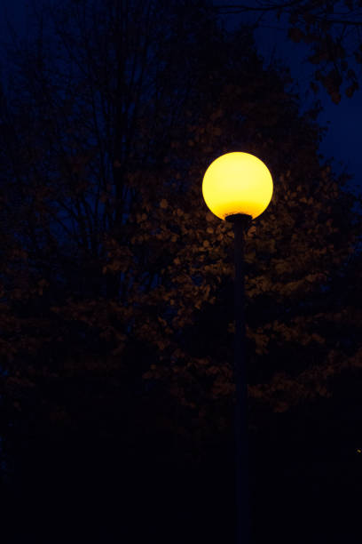 istock Street lamp at night 1249482722