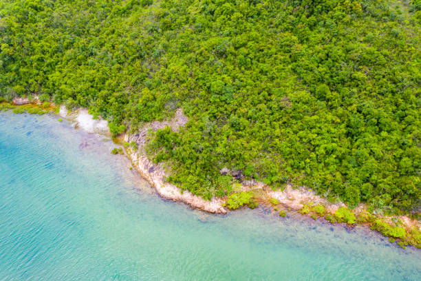 istock The beach view in hong kong 1249486910