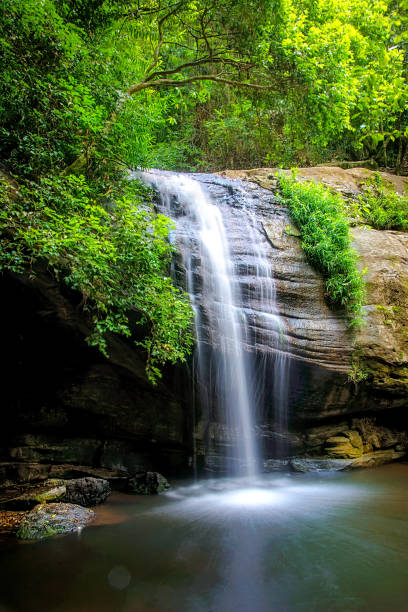 Waterfall in Buderim in Queensland's Sunshine Coast hinterland
