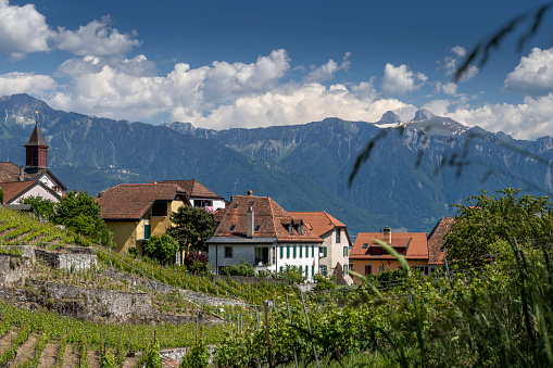 Scenic view with the village of Rivaz in Lavaux