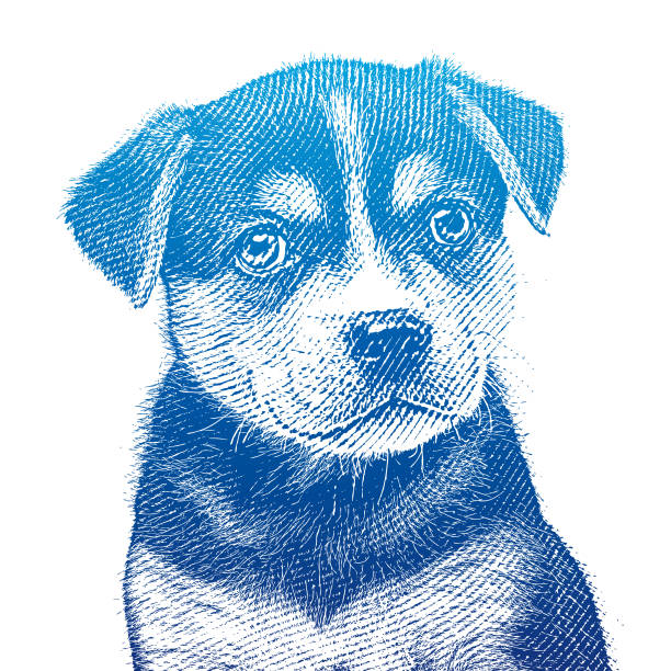 ビーグル犬のハスキー犬の混合された品種子犬を採用することを期待して - dog mixed breed dog puppy white background点のイラスト素材／クリップアート素材／マンガ素材／アイコン素材