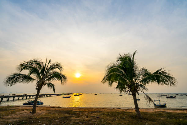 Coconut trees on the beach During sunset at bang phra sriacha chonburi thailand stock photo