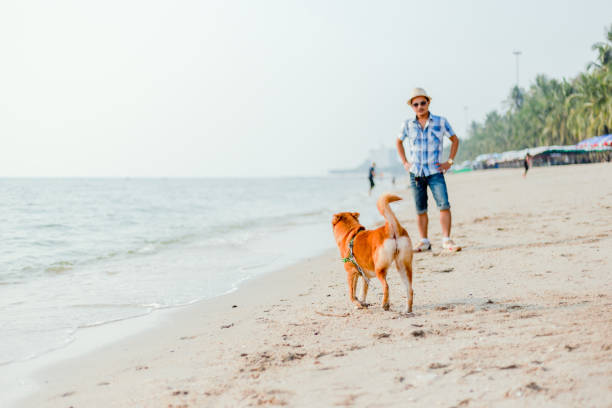 istock a man play with the dog on the beach. 1249507266