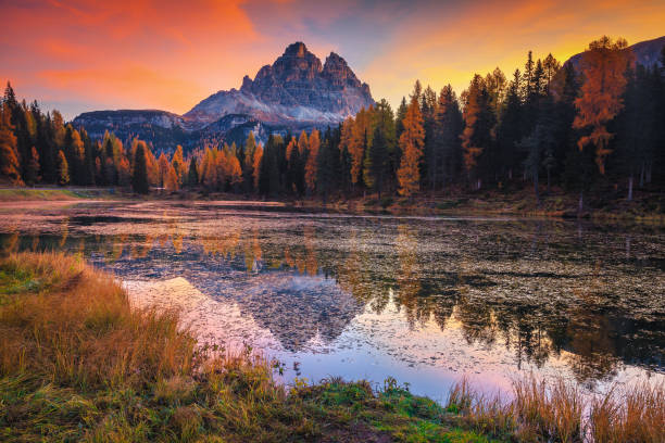 wunderschöne herbstdämmerungslandschaft mit antornosee in dolomiten, italien - larch tree stone landscape sky stock-fotos und bilder