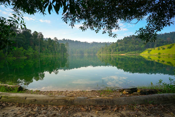 istock Beautiful lake landscape with forest and it’s reflection 1249507838