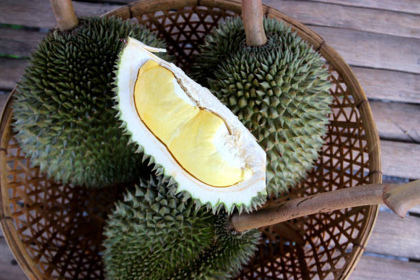 durian fruit in the basket stock photo