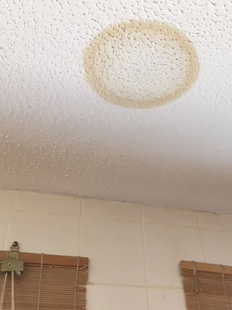 istock Image of circular, brown water stain on white, stippled, textured ceiling caused by leaking pipe, housing problem concept 1249509333