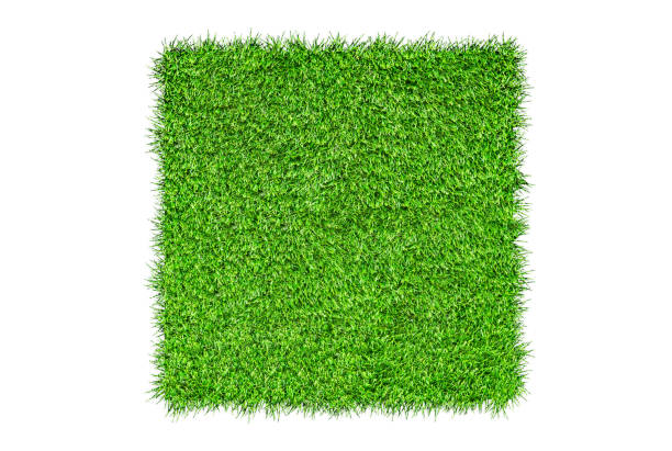 istock Top view of Green artificial grass isolated on white background. 1249510937