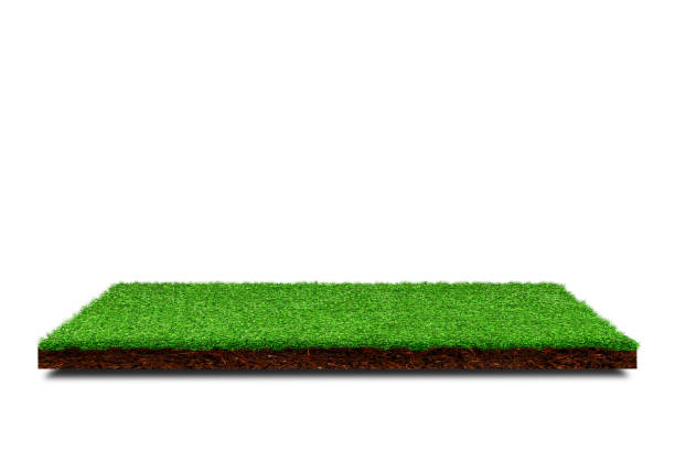 istock Square artificial green grass covered brown soil ground isolated on white background. 1249510942