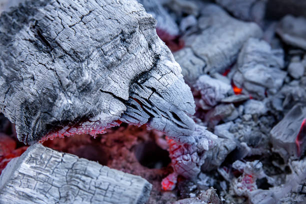 Close up of Charcoal fires are burning