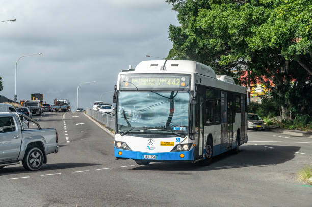442 ônibus azul girando em um cruzamento movimentado - bus public transportation sydney australia australia - fotografias e filmes do acervo