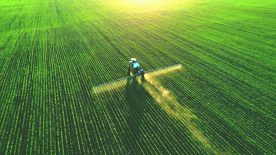 Tractor spray fertilizer on green field.