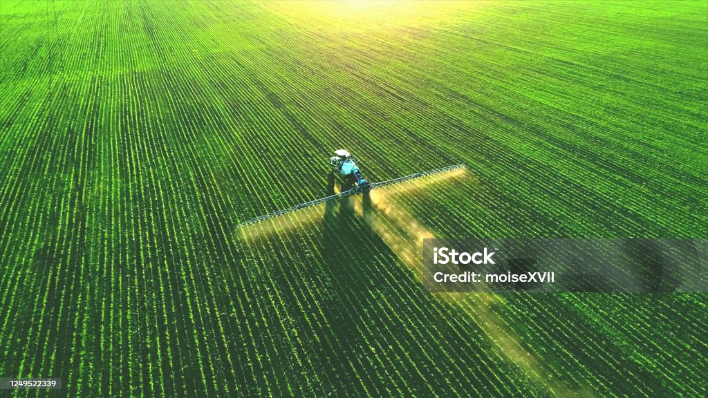 Tractor spray fertilizer on green field. Tractor spray fertilizer on green field drone high angle view, agriculture background concept. Agriculture Stock Photo