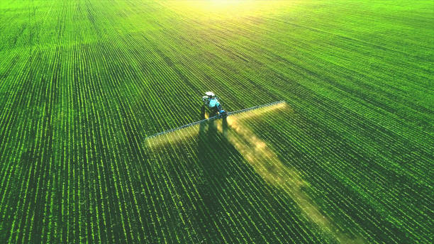 nawóz natryskowy ciągnika na zielonym polu. - crop sprayer insecticide spraying agriculture zdjęcia i obrazy z banku zdjęć