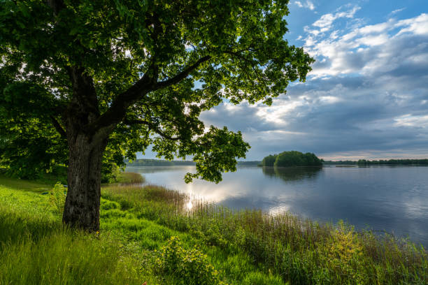 Lake Jumurdas at sunrise in Vidzeme, Latvia