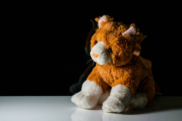 istock An isolated puppy toy on a white reflective surface in a dark background 1249527140
