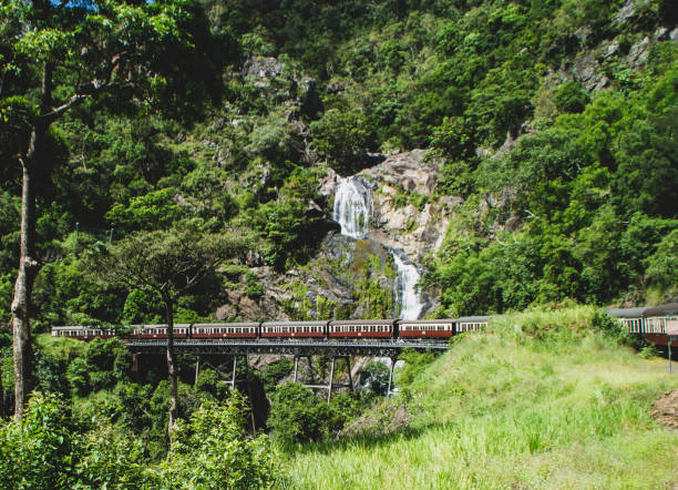 il treno panoramico kuranda si snoda oltre una spettacolare waterall - cairns foto e immagini stock