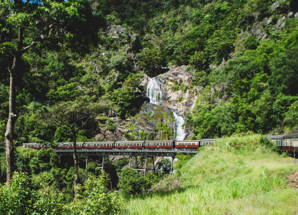 Kuranda scenic train winds its way past a spectacular waterall A historic train on the Kuranda Scenic Railway winds its way past a magnificent waterfall. The train makes a two-hour journey between Cairns and Kuranda past rainforest, ravines and coutnryside. It also passes several spectacular waterfalls. The train ride is a popular tourist attraction, cairns australia stock pictures, royalty-free photos & images