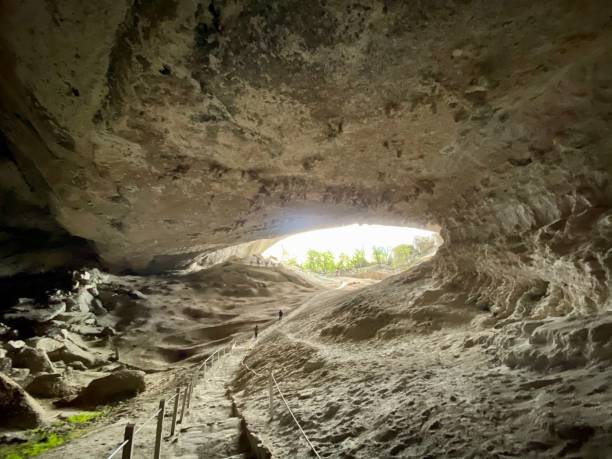 istock Del Miladon Cave, Puerto Natales, Chile 1249530903