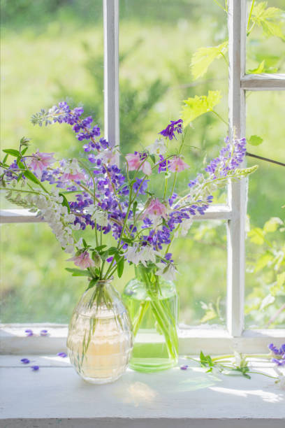 istock summer flowers in vase on windowsill in sunlight 1249542914