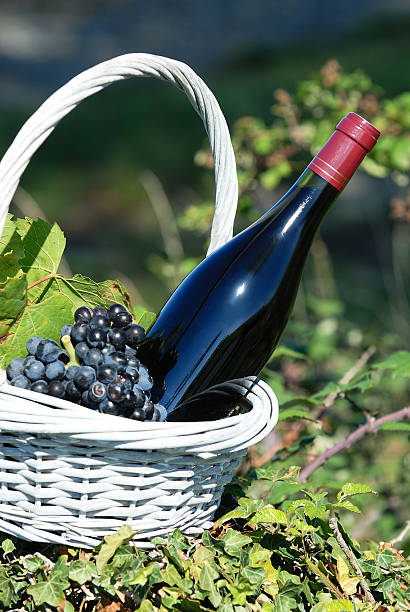 istock bottle of red wine 124954438