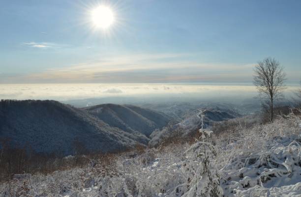 istock Sunny winter day on Medvednica Mountain 1249545614
