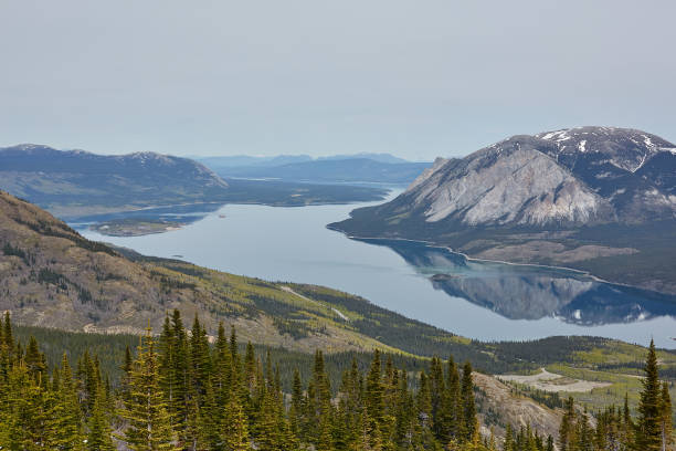 istock open top view from hiking mountain on right side and reflection in lake with pine tree around in summer time,  carcross Sammcgee lake, Yukon, Canada. 1249546355