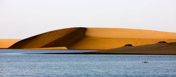 istock DESERT NEAR WALVIS BAY IN NAMIBIA 1249546983