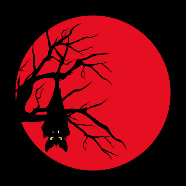 illustrations, cliparts, dessins animés et icônes de chauve-souris vampire suspendu sur la branche d’arbre nue au contour vectoriel de pleine lune - tree silhouette branch bare tree