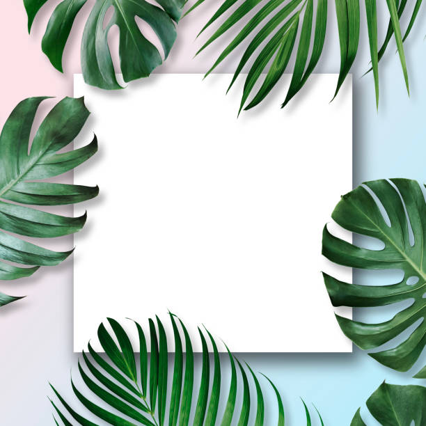 istock Summer tropical leaves with blank white paper 1249555145
