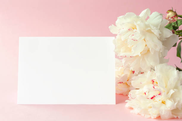 istock Blank greeting card mock-up and peonies flowers 1249558012