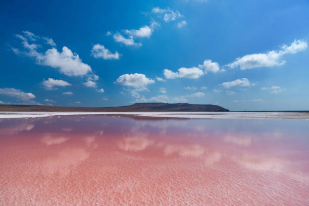 istock Shallow pink salt lake with clouds reflection 1249560653