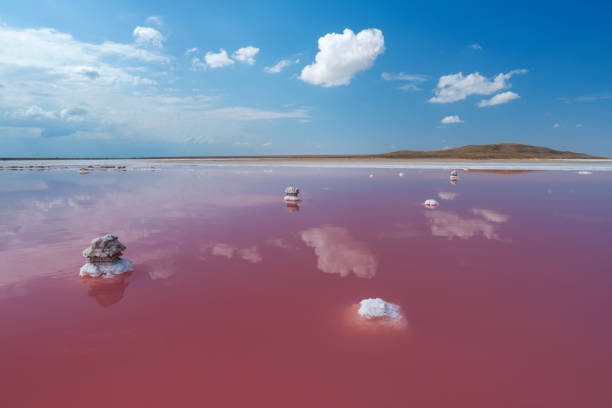 istock Pink salt lake with white clouds reflection 1249560660