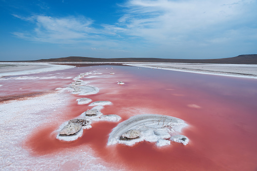Landscape of the pink salt lake with white shores