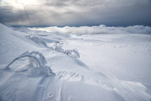 Winter scenery with snow covered meadow, trees on the background and blue sky with clouds in Moravskoslezske Beskydy mountains in Czech republic