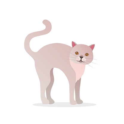 Funny White Cat Icon In Cartoon Style Stock Illustration