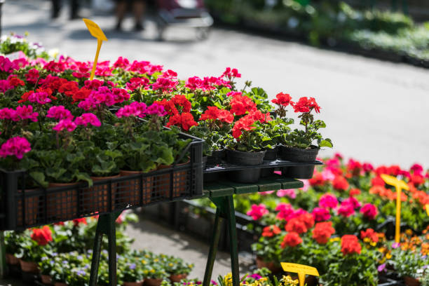 istock Flower shop on a street. 1249561190