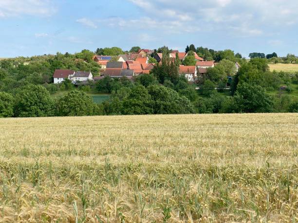 istock Wheat field and small village in summer 1249561796