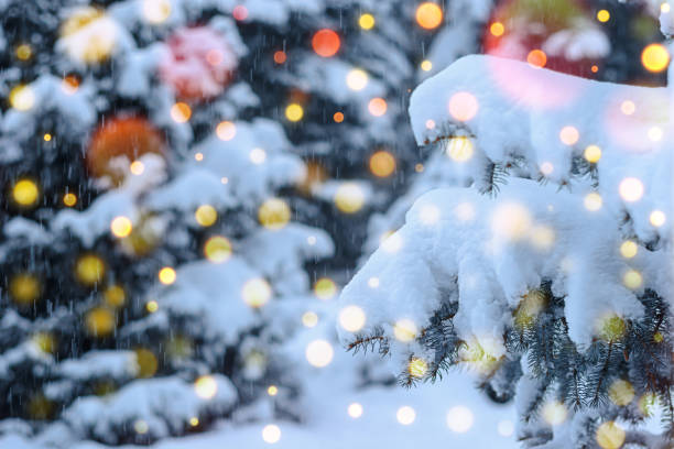 istock Christmas Tree Little Branch with Snow in Snowfall. 1249564418