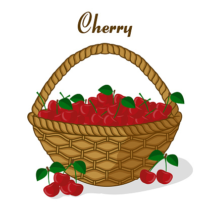 Berries of a cherry in a basket. Fresh sweet nature product. Can be used as logo, logo, web print, sticker.