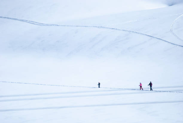 istock A group of people Ski-walking in Finse, Norway 1249569068