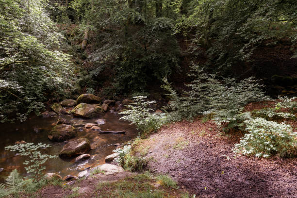 istock Polkemmet country park 1249569651