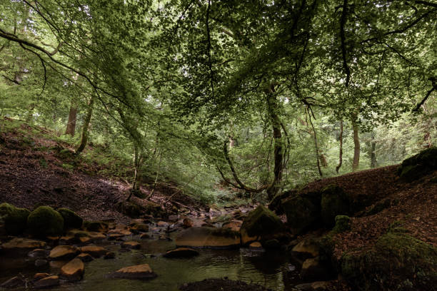 istock Polkemmet country park 1249569710