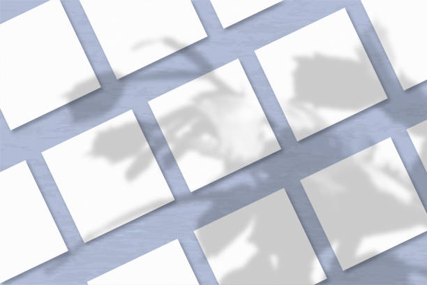 istock Several square sheets of white textured paper against a blue wall background. Natural light casts shadows from an exotic plant. Flat lay, top view 1249571624