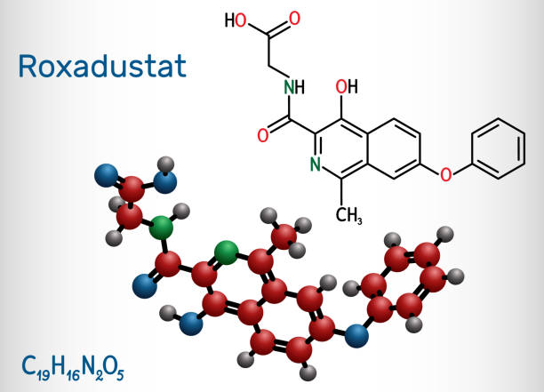 Roxadustat molecule. It is prolyl hydroxylase inhibitor, stimulates production of hemoglobin and red blood cells. Structural chemical formula and molecule model Roxadustat molecule. It is prolyl hydroxylase inhibitor, stimulates production of hemoglobin and red blood cells. Structural chemical formula and molecule model. Vector illustration erythropoietin stock illustrations