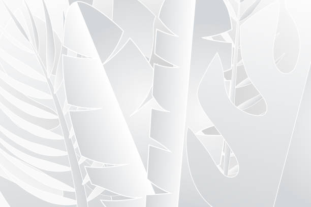 istock Tropical leaves in white and gray shades 1249574513